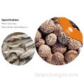 Organic dried shiitake mushroom prices wholesale slicing                        
                                                Quality Choice